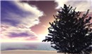 Winter Calls - Poid Mahovlich