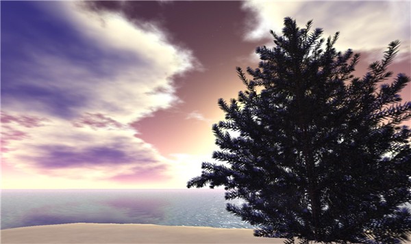 Winter Calls - Poid Mahovlich