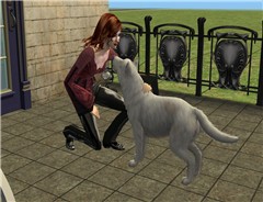 silver and a wolf