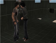 dammit dingo