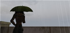 Rainy day...