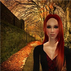 Autumn street