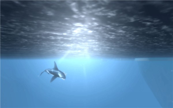 Under the sea