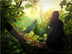 the lightning tree2