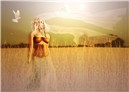 wind in the barley