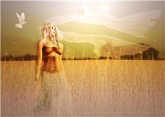 wind in the barley