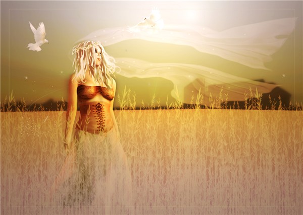 wind in the barley