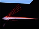 oarfish8_003