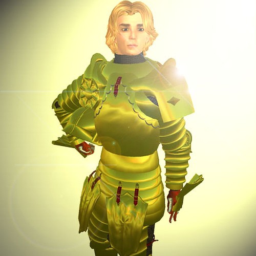 Rodion in the Gold English Armour