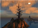tree_004