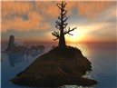 tree_002