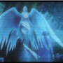 Spirit