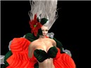 poinsanta_002
