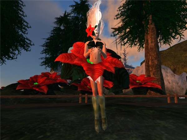 poinsanta_006