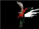 poinsanta_005
