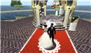the red carpet walk
