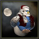 Budgerigar Santa