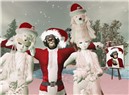 EXHIBITION"Xmas Present" 