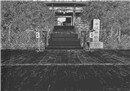 Untitled Gion 1 bw