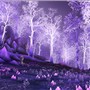 Beautiful trees!