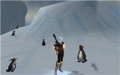 Borean Tundra Penguins