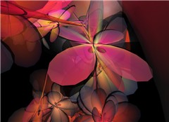 Flowerful_008