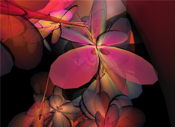 Flowerful_008