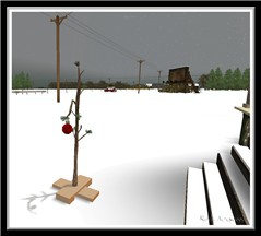 my tree