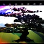 Tree on a Wall in Gion 2