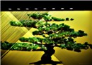 Tree on a Wall in Gion 1
