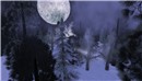 oh the moon! - Torley Olmstead