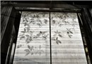 Shades of Gion