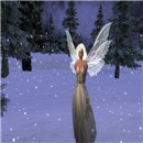 Snowy Snapshot