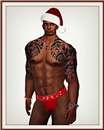 Irezumi santa