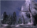 Snow evening