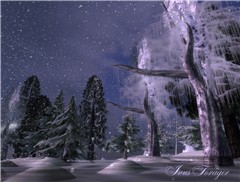 Snow evening