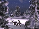 Winter miracle