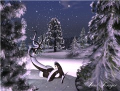 Winter miracle