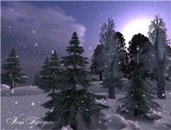 Snowfall