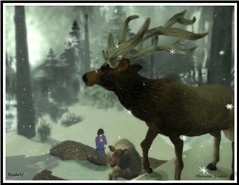 Rudolf