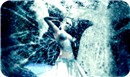 Snow Fairy