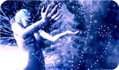 Catch a Falling Dream