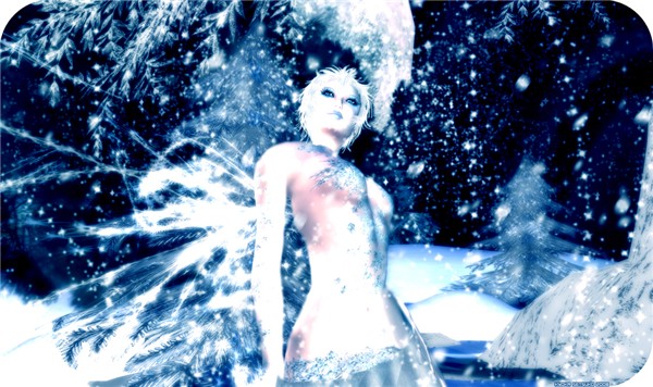 Winter Angel
