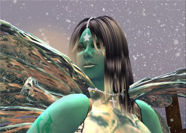 Winter Fairy