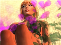 081211 Flowers