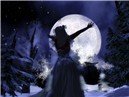 Reaching for the Moon