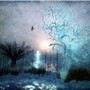 Frozen