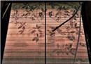 Shades of Gion
