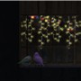 Two Birds