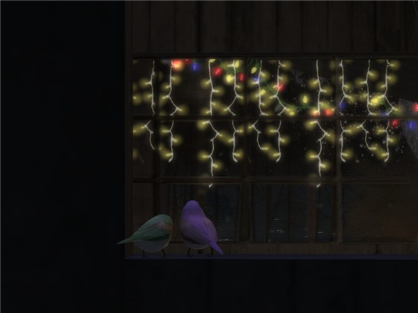 Two Birds